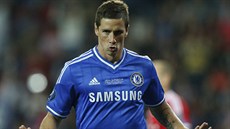 GÓLOVÁ OSLAVA. Fernando Torres poslal fotbalisty Chelsea do vedení 1:0.