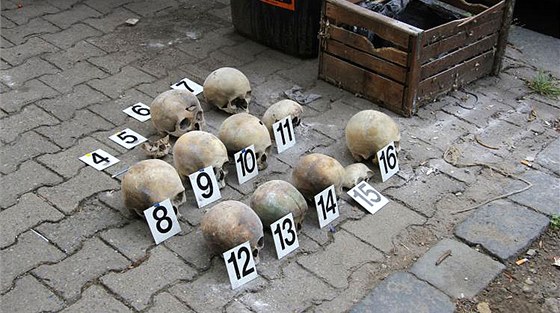 Bednu s 15 lidskými lebkami nael editel základní koly v Londýnské ulici na