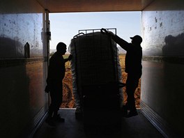 Farm worker Mustapha El-Mezroui (R) helps load a sack filled with potatoes onto...