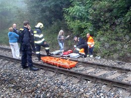 Vlak srazil na trati mezi Karltejnem a Berounem lovka. (5. z 2013)