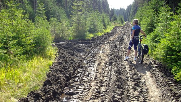 Rozjedn cesta v Nrodnm parku umava v okol Modravy.