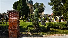 Voda poničila i hřbitovní zeď, takže kousek od brány dostalo pietní místo... Voda poničila i hřbitovní zeď, takže kousek od brány dostalo pietní místo...