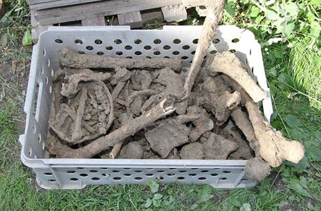 Mu z Dolních Vstonic nael ve sklep lidské kosti (ilustraní foto).