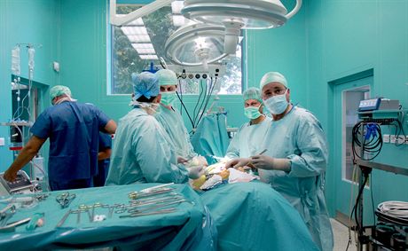 Zaalo to jednou a dvma operacemi do roka, dnes u lékai Centra kardiovaskulární a transplantaní chirurgie v Brn transplantují játra desítkám paceint ron. (Ilustraní snímek)