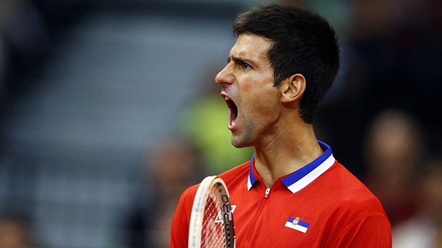 Srbsk tenista Novak Djokovi se raduje z vtznho deru v utkn semifinle Davis Cupu proti Milosi Raonicovi.