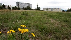 Firma usiluje o změnu územního plánu tak, aby na volném pozemku nad Masarykovou... Firma usiluje o změnu územního plánu tak, aby na volném pozemku nad Masarykovou...