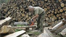 Po domluvě s lesníky si lze v lese koupit palivové dříví, pokácet ho a odvézt Po domluvě s lesníky si lze v lese koupit palivové dříví, pokácet ho a odvézt
