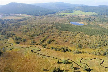 Ekologové navrhují, aby polovina z rozlohy umavského parku patila do I.zóny, kam by nesmli turisté ani tai s pilami. Na snímku je Chalupská sla a Vydí potok.