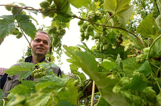 Obyejn dláme estnáctku a sedmnáctku. Po tech se u docela pkn motáte,