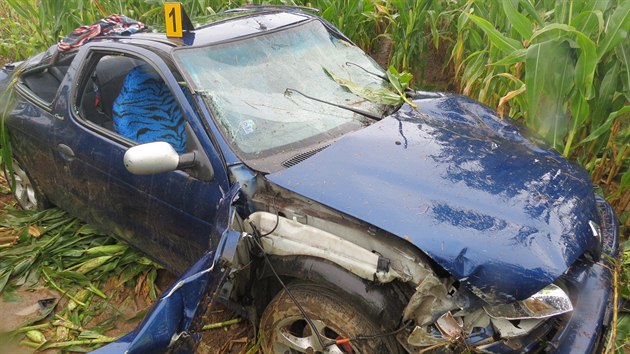 tyiadvacetilet mladk neudrel u Velkho Beranova na Jihlavsku auto na silnici a skonil s nm v lnu s kukuic.