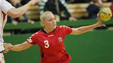 Jana Knedlíková v souboji s norskou obranou. Jana Knedlíková v souboji s norskou obranou.