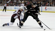 Garnet Exelby z Anaheimu napahuje ke stele, zezadu ho atakuje Cody McLeod z