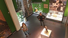 Výstava Znamení vertikál v opavském Slezském zemském muzeu, kde byly svezeny z...