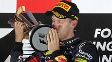 DALÍ TRIUMF. Velkou cenu Singapuru ovládl Sebastian Vettel.