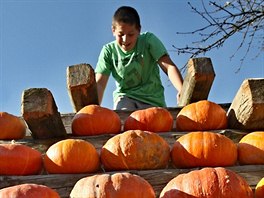 "Nechali jsme se inspirovat v zahranií. Dýn jsou tam daleko populárnjí ne...