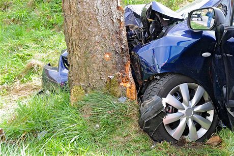 Automobil skonil ve strom po smyku. Policie pípad provuje jako usmrcení z nedbalosti. Ilustraní snímek