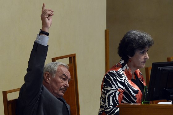 Senát poprvé v historii projednává zákonná opatení (na snímku jsou místopedsedové horní komory Pemysl Sobotka a Alena Gajdková).