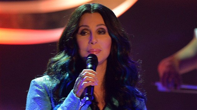 Zpvaka Cher (6. jna 2013)