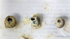 Sklenné korálky z dtského hrobu nalezené v lokalit Nesvtic.