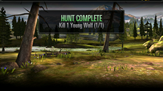 Deer Hunter 2014