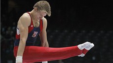 Český reprezentant Daniel Radovesnický se do finále víceboje na MS v Antverpách Český reprezentant Daniel Radovesnický se do finále víceboje na MS v Antverpách