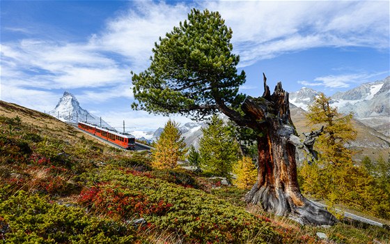 Slaďte barevnou kompozici. Švýcarsko, Zermatt