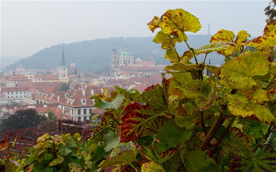 Najděte si zajímavé popředí. Praha, Svatováclavská vinice