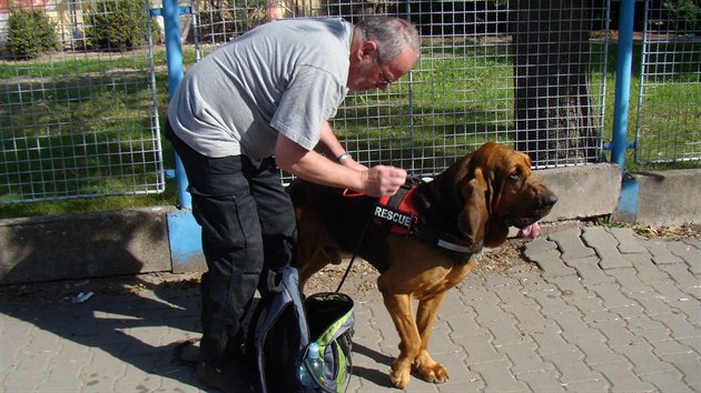 Psovod a jeho desetilet bloodhound Forrest Gump