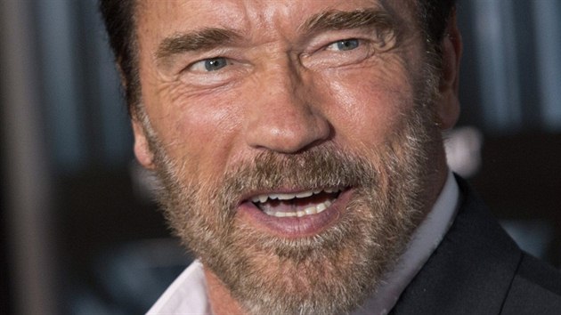Arnold Schwarzenegger (15. jna 2013)