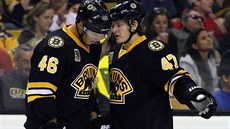 Bostonský útočník David Krejčí (vlevo) při poradě se spoluhráčem Toreym Krugem... Bostonský útočník David Krejčí (vlevo) při poradě se spoluhráčem Toreym Krugem...