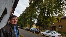 Jaroslav Janků bojuje proti lípám v ulici Na Spořilově v Benešově zatím bez Jaroslav Janků bojuje proti lípám v ulici Na Spořilově v Benešově zatím bez