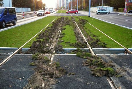 Po vyproování letitního autobusu zstaly v trávníku na Evropské vyjeté