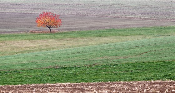 Lokalita Obora je zatím dle územního plánu zemdlskou plochou, v budoucnu by se ale mohla zmnit na stavební parcely, co by ceny pozemk poslalo na zcela jinou úrove. Ilustraní snímek