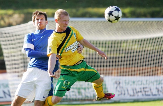 Sokolovský Rostislav amánek (vpravo) rozhodl utkání proti Vlaimi.