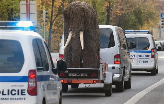 Na pevoz radji dohlíela dv auta mstské policie.