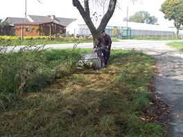 Simulovali jsme i situaci, kdy by obec mohla takto eit veejnou údrbu...