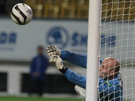 Teplick glman Martin Slavk chyt penaltu plzeskmu Marku Bakoovi.