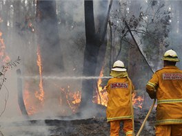 Hasii zasahují u msteka Bilpin, asi 75 kilometr západn od Sydney. (22. 10....