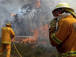 Hasii zasahují u msteka Bilpin, asi 75 kilometr západn od Sydney. (22. 10....