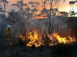 Na haení lesních poár se podílí také jednotky dobrovolných hasi.