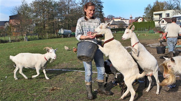 Farma Armdy spsy ve Strahovicch na Opavsku slouila lidem v tk ivotn situaci. Te bude hledat nov uplatnn. (foto 23.10.2013) 