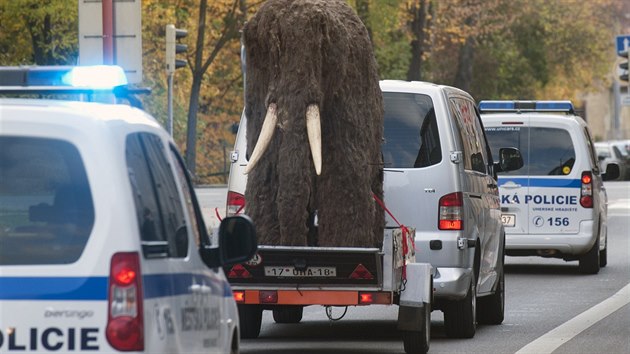 Na pevoz radji dohlela dv auta mstsk policie.