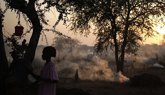 ena z kmene Dinka Ngok. Obyvatelé oblasti Abyei chtjí pipojit k Jinímu...