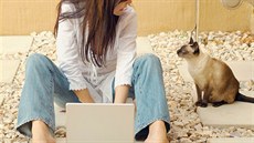 Za štiplavý zápach linoucí se z notebooku tentokrát kočka nemohla Za štiplavý zápach linoucí se z notebooku tentokrát kočka nemohla