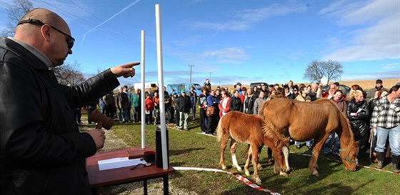 Zájem o drabu týraných koní byl v Rousínov na Rakovnicku velký