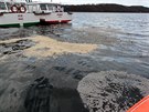 nik ropn ltky na hladinu Vranovsk pehrady (7. listopadu 2013)