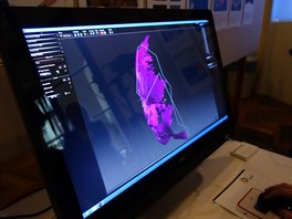 Zpracování 3D skenu na stánku Technet.cz na Týdnu vdy a techniky
