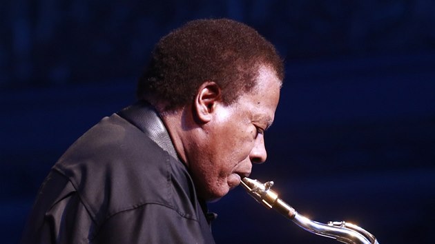 Wayne Shorter Quartet v Lucern, 6. 11. 2013 (Wayne Shorter)