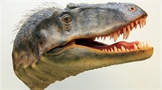 Hlava nov objeveného dinosaura, který dostal jméno Lythronax argestes.