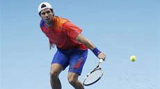 panlský tenista Fernando Verdasco hraje s krajanem Marrerem proti tpánkovi
